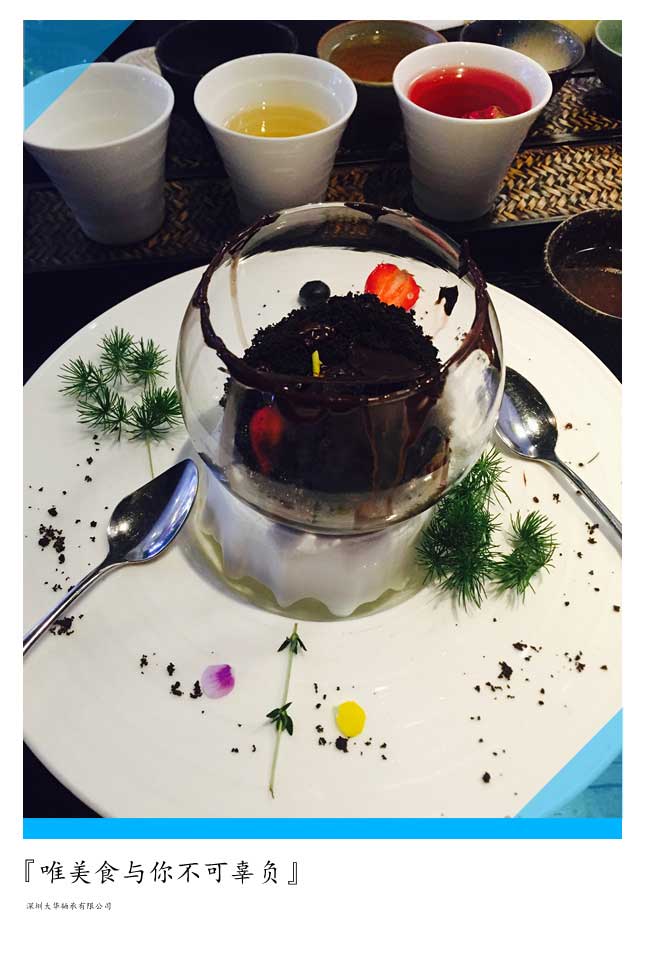 2015年第十二屆上海模型展，大華參展！